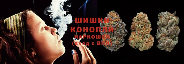 гашик Белокуриха
