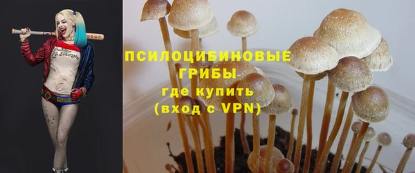 бошки Белоозёрский