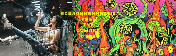 бошки Беломорск