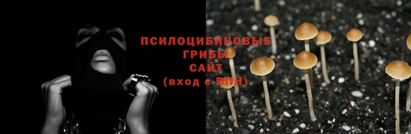 бошки Беломорск