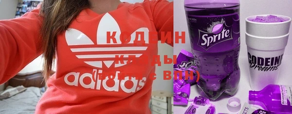 гашик Белокуриха