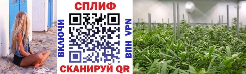 Купить где  Лакинск  Конопля OG Kush 